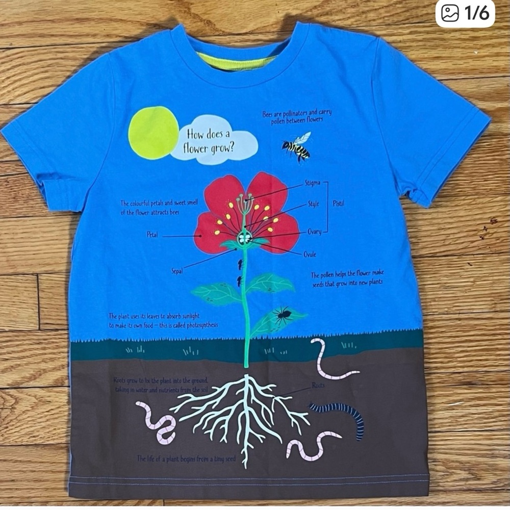 Boden Mini Flower Life Cycle Diagram T- Shirt Blue Size 6-7 Great Condition